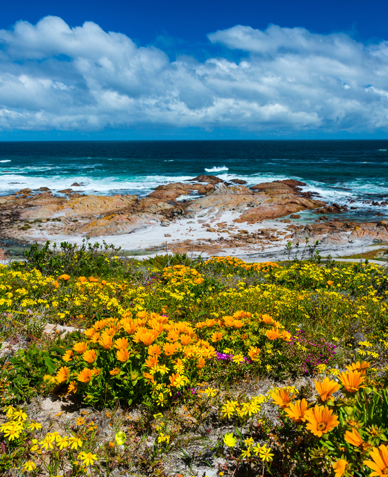 This image for Image Layouts addon