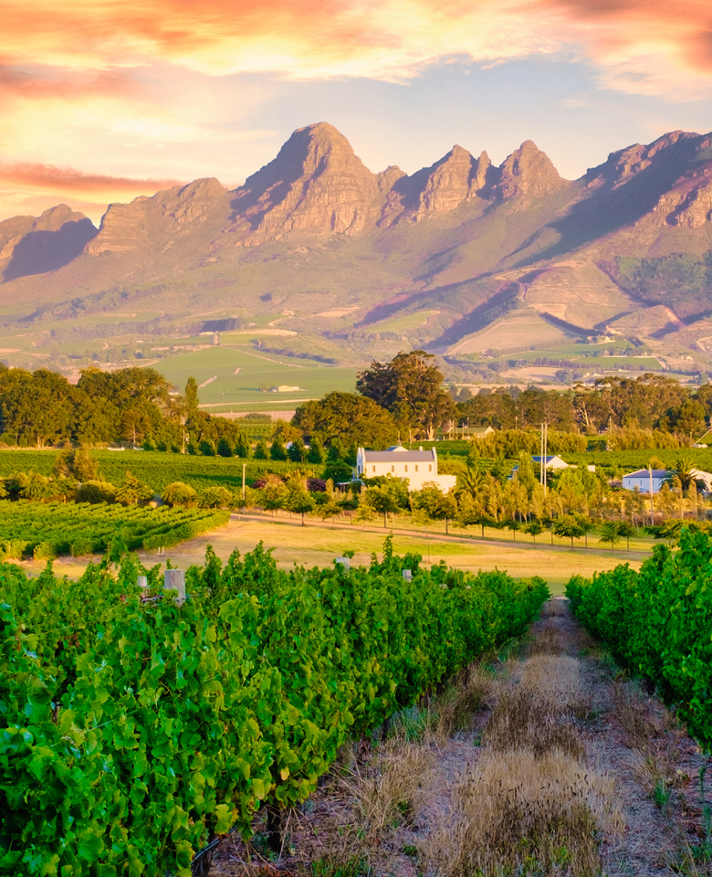 This image for Image Layouts addon