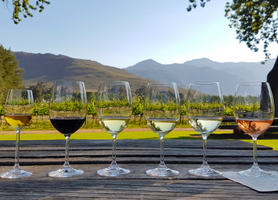 Cape Winelands: A Journey Through South Africa’s Vineyards