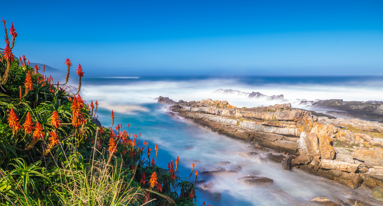 Adventure Awaits: A Guide to South Africa’s Garden Route