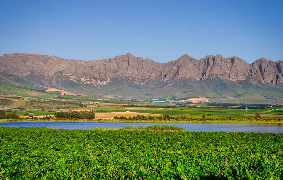 Cape Wine Tour